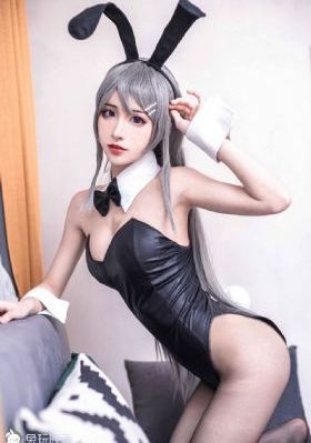 继承者