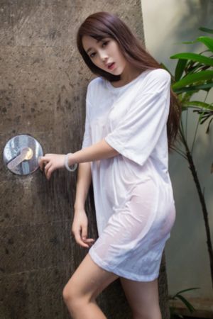 铁齿铜牙纪晓岚第二部在线观看