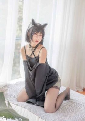 警花与警犬2免费观看完整版