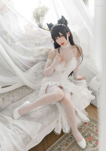 磁力岛官网
