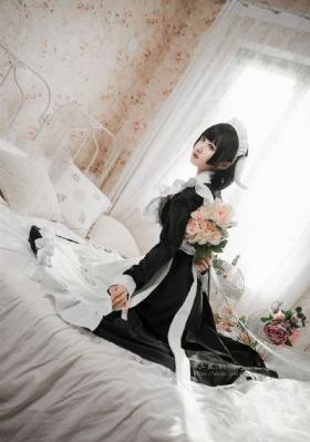 磁星骑士